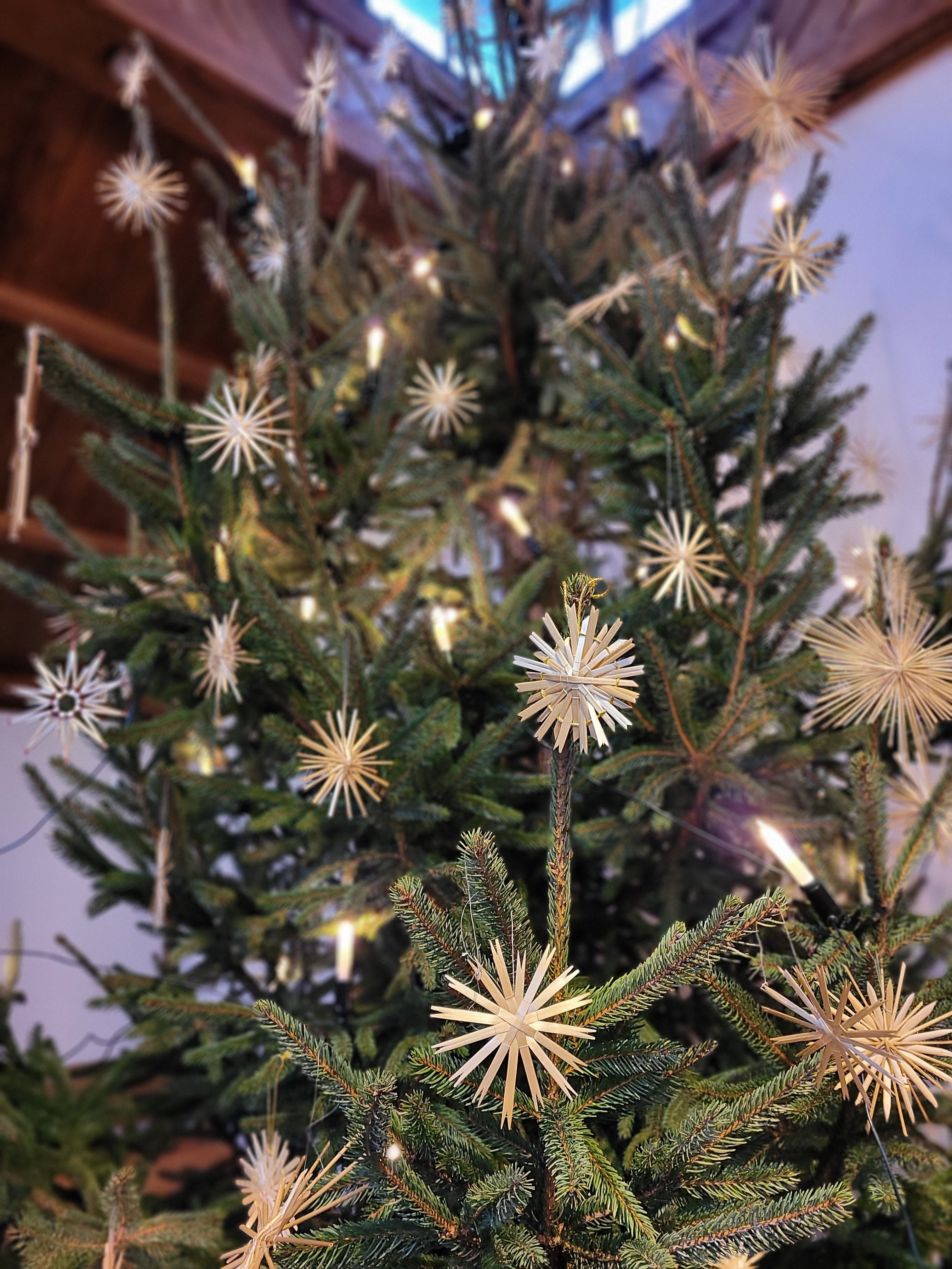 Verschiedene Bilder von Weihnachten 2021